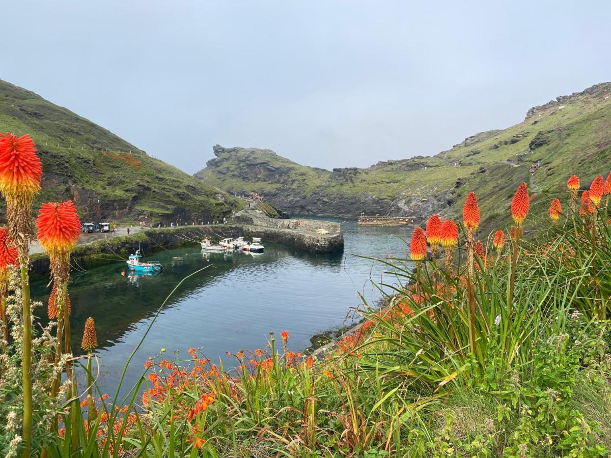 Apartmán Harbour Light Boscastle Exteriér fotografie