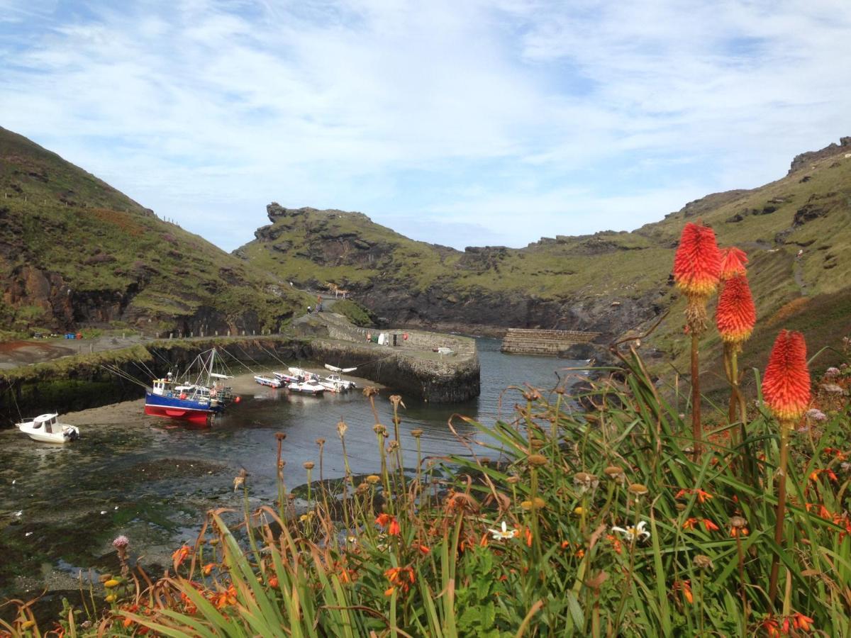 Apartmán Harbour Light Boscastle Exteriér fotografie