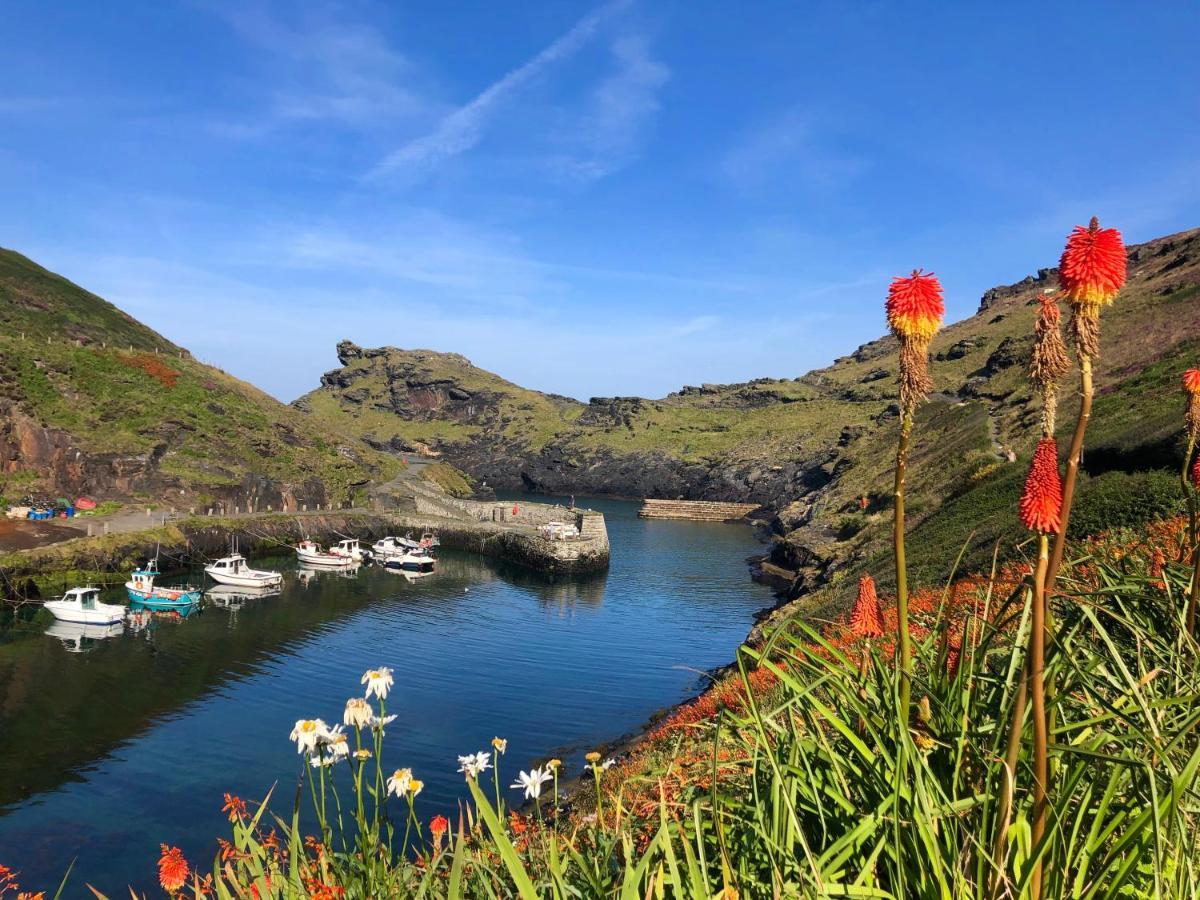 Apartmán Harbour Light Boscastle Exteriér fotografie